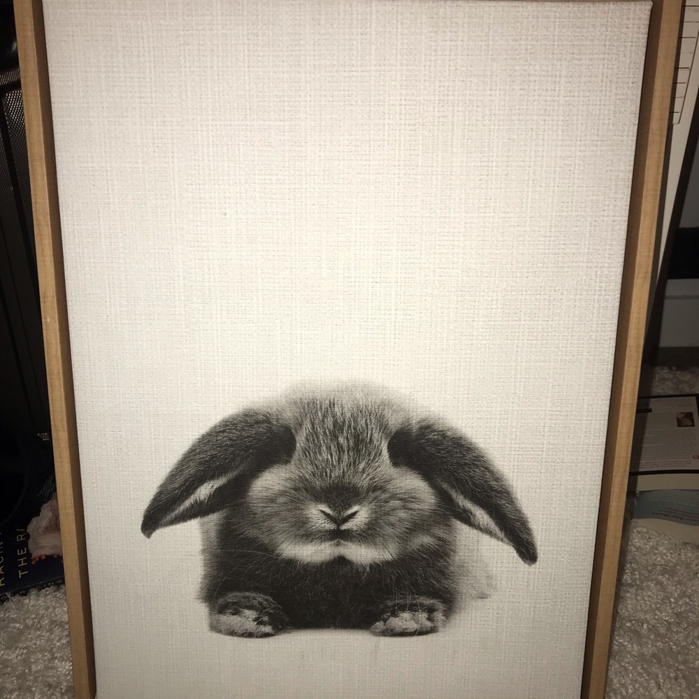 photos